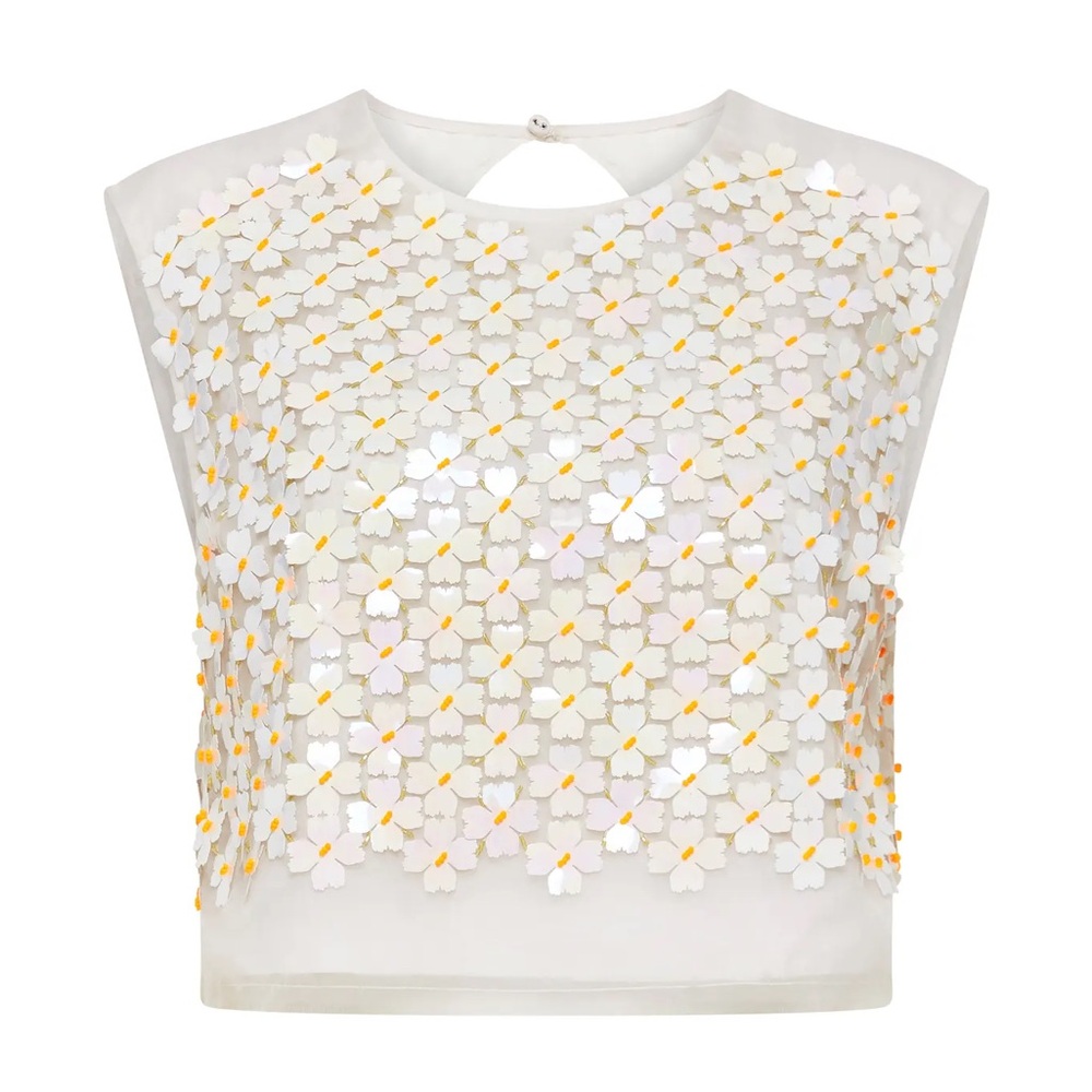 AJE Gazelle Floral Organza Crop Top